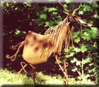 to Archives, Sculpture